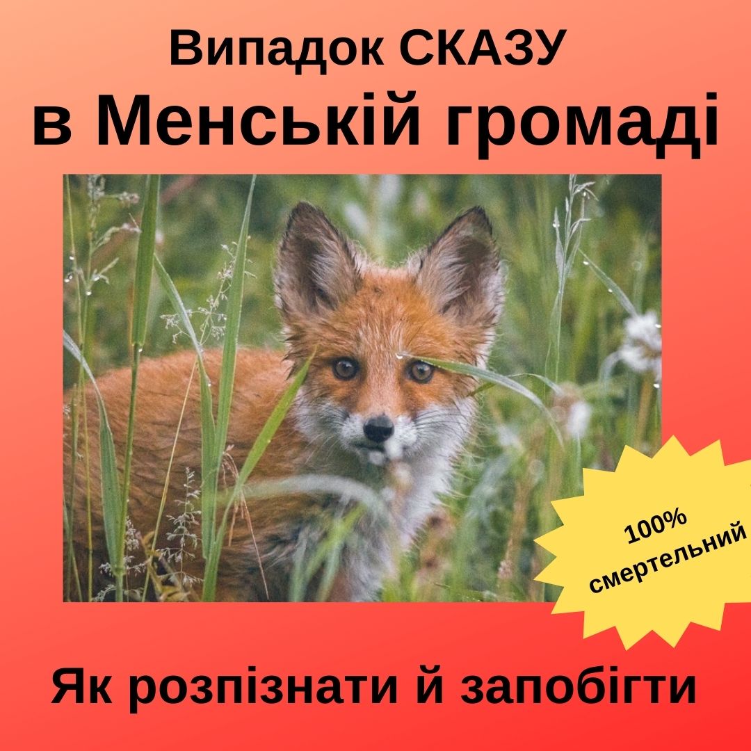 Фотографія